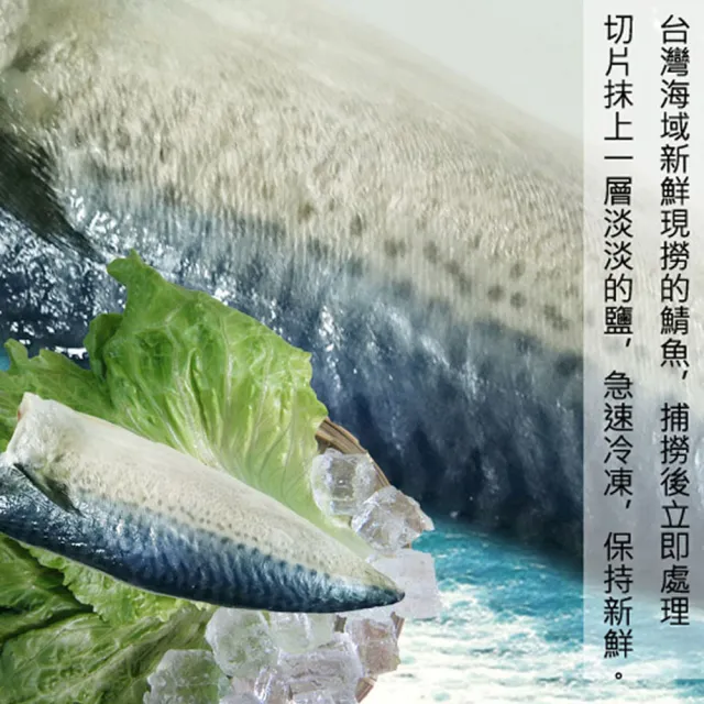 【賣魚的家】台灣本土薄鹽鯖魚片 18包組(220g±9g/2片/包/共36片)