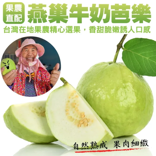 【WANG 蔬果】燕巢牛奶珍珠芭樂(5斤±10%)