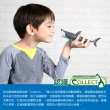 【collectA】動物系列-盒裝史前海洋動物12入 011042(A574302)