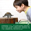 【collectA】動物系列-盒裝迷你史前動物12入 011004(A574299)