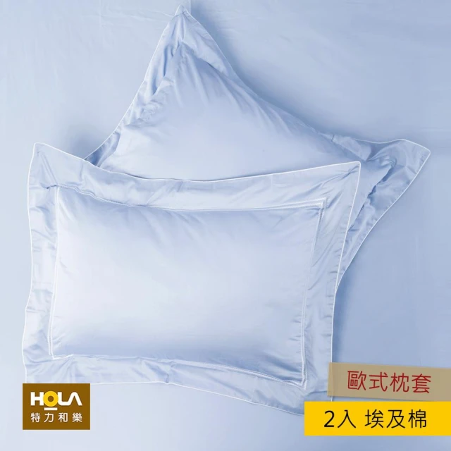 【HOLA】艾維卡埃及棉刺繡歐式枕套2入藍