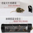 【JOHN HOUSE】鼠洞式連續捕鼠器 鼠患好幫手 非透明 適合營業場所捕鼠 連續抓鼠(捕鼠器)