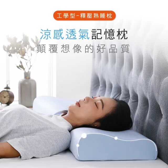 【House Door 好適家居】涼感布人體工學型記憶枕(10CM/1入 熟睡枕)