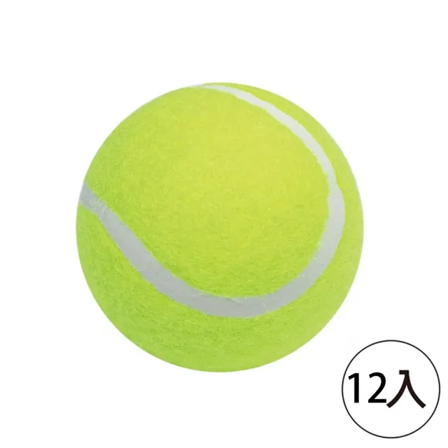 【SUCCESS 成功】4311一般練習網球(12入1包)