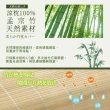 【BELLE VIE】台灣製 專利型獨立筒孟宗竹枕(45x26cm)
