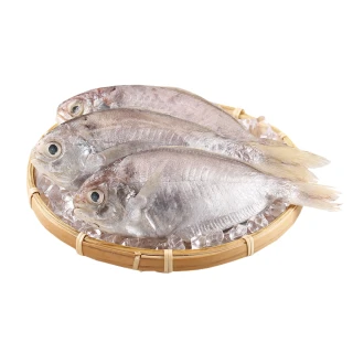 【愛上海鮮】鮮凍野生肉魚6包組(180g±10%/包/兩尾一包)