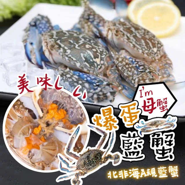 一手鮮貨 A規活凍爆蛋母藍蟹(8kg/單隻200~250g/母藍蟹)