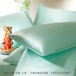 【YES】100%純蠶絲經典枕頭套-薄荷綠