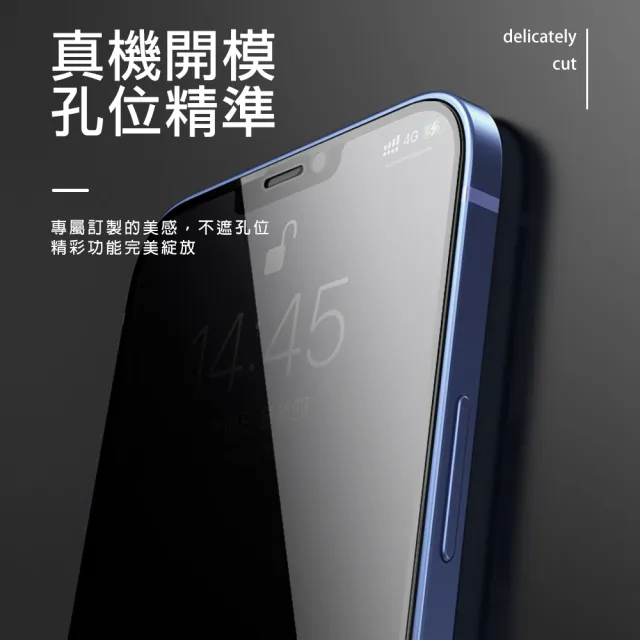 iPhone12 ProMax 保護貼手機滿版高清防窺9H鋼化膜(12ProMax鋼化膜 12ProMax保護貼)