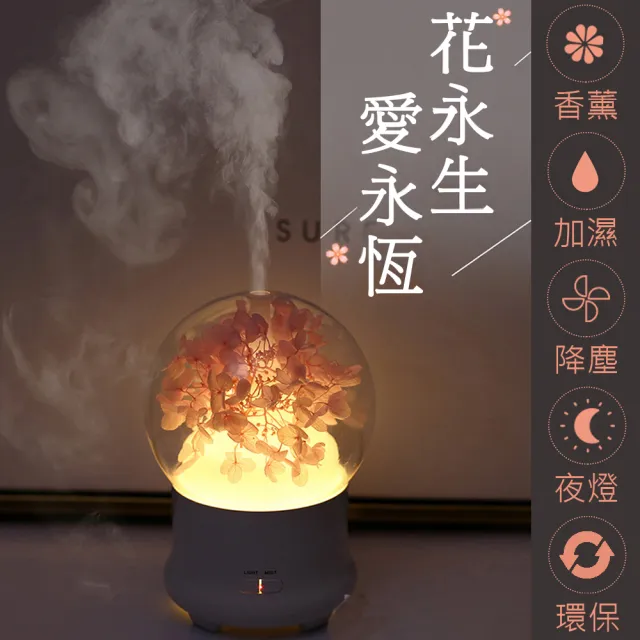 【BESTHOT】永恆花香薰機(可加精油 永恆花 加濕器 霧化加濕器 水氧機)