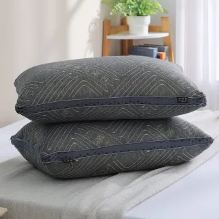 【ISHUR 伊舒爾】石墨烯遠紅外線獨立筒枕2入 台灣製造(贈天絲枕套2入/高科技/枕頭)