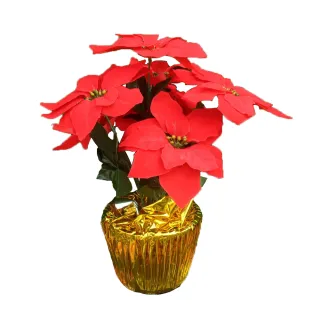 【園藝世界】人造花-金盆裝聖誕紅-12入(7頭聖誕紅)