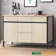 【綠活居】蒙特維  現代4尺五抽二門餐櫃/收納櫃
