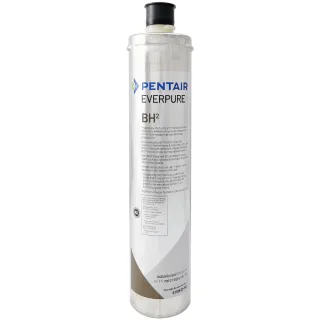 【Pentair】EVERPURE 美國原裝進口濾心(BH2 平輸品)