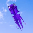【888ezgo】大眼金魚造型風箏（軟式風箏）（全配/附150米輪盤線）