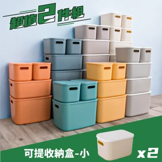 可提小型收納盒-2入-七色任選(YG-130-s8)