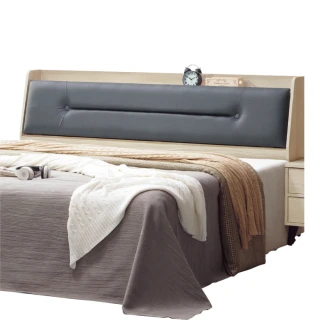 【綠活居】以色列   現代5尺皮革雙人床頭箱(不含床底＋不含床墊)