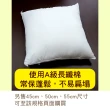 【LASSLEY】A級長纖棉枕心65x65cm(台灣製造抱枕棉心/枕芯)