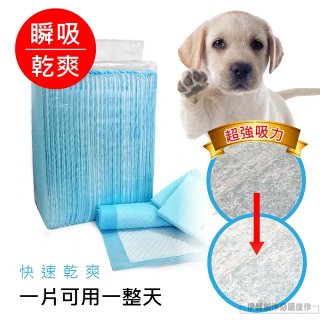 【IDREES 伊德萊斯】寵物尿布墊 狗尿布 幼貓幼犬 尿墊 吸水 加厚款 狗廁所 寵物衛生墊 附品寵物外出包