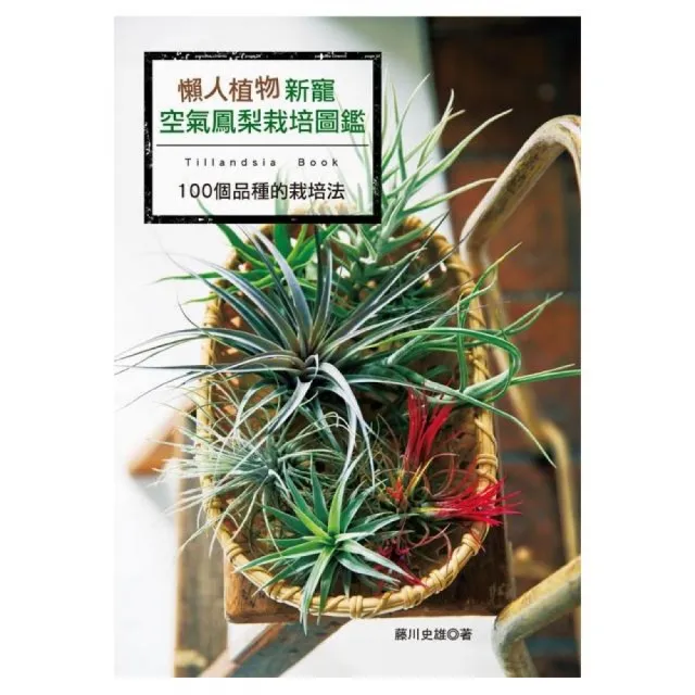 懶人植物新寵：空氣鳳梨栽培圖鑑 | 拾書所