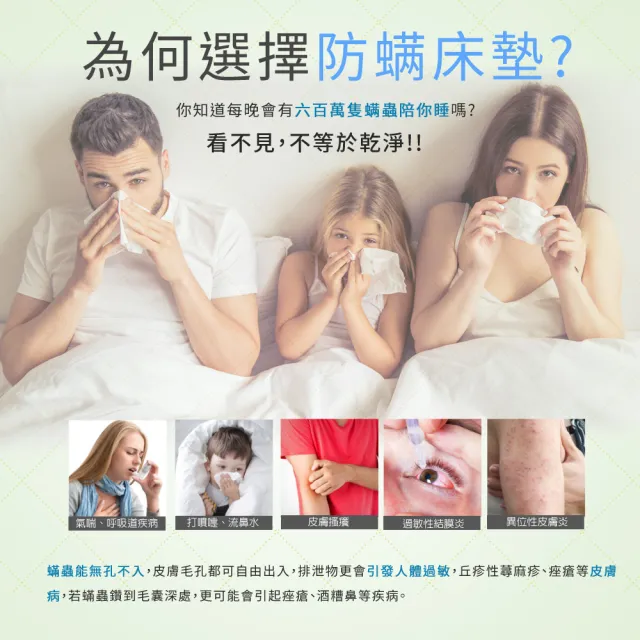 【LooCa】單人3尺 法國防蹣5cm記憶床墊90x188cm-送枕X1｜宿舍床墊