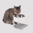 【SPUTNIK 斯普尼克】寵物增高防蟻碗(寵物防蟻碗/寵物水碗/貓狗適用)