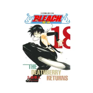 BLEACH死神１８
