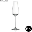 【LUCARIS】Desire系列 香檳杯 240ml/6入 LS10SL08(香檳杯)