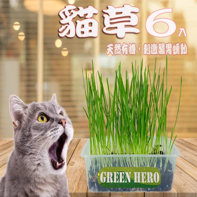 【園藝世界】貓草-混合包6入(寵物貓草)