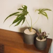 【Kinto】PLANT POT 191陶瓷花盆13.5cm-深灰