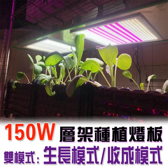 JIUNPEY 君沛 3呎 40W 紅藍光譜植物燈管 防水型