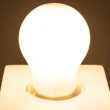 【特力屋】金星LED燈絲燈泡4.5W GF霧面燈泡色