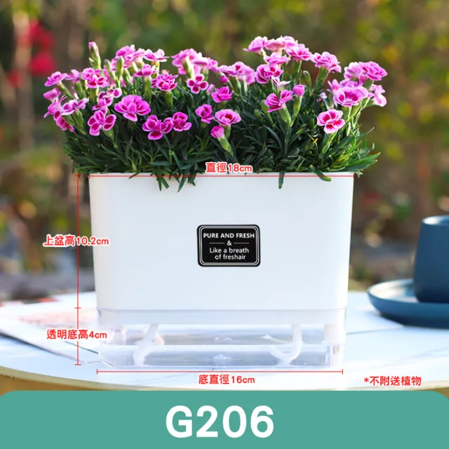 【fioJa 費歐家】磁吸免澆水懶人盆栽 G206 & G207款 簡單好養種植(自動吸水 創意花盆 悠閒居家 盆栽容器)