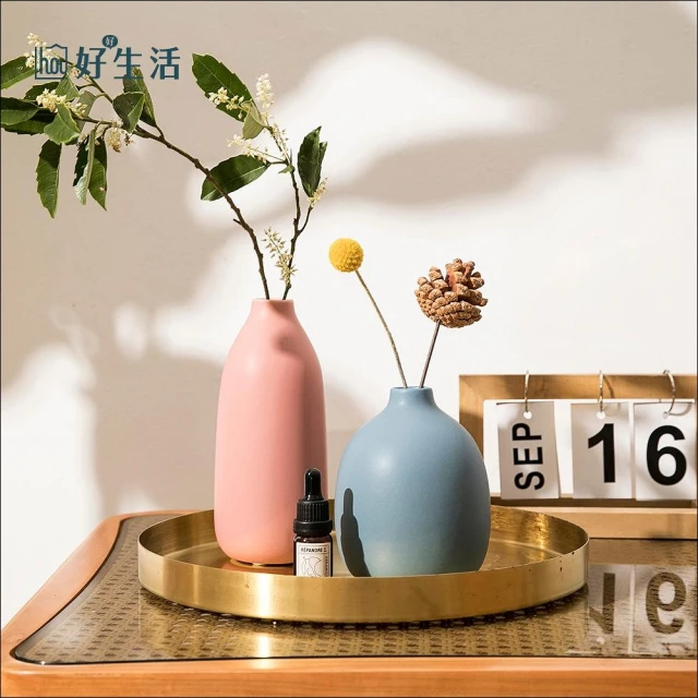 JEN 透明玻璃試管花瓶高12cm(平韻節拍)優惠推薦