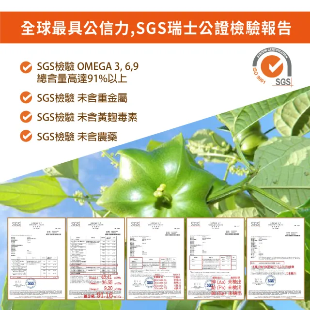 【好朋友】黃金印加果油 光漾植物膠囊30顆x6盒(含豐富Omega3 6 9 全素可食)