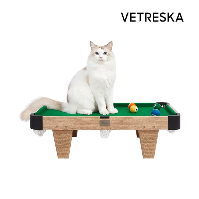 【Vetreska 未卡】喵諾克撞球桌 寵物遊戲桌(逗貓棒 玩具球 躺臥床 玩具組)