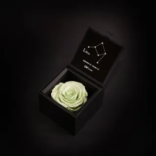 【CNFlower 西恩】星座恆星花-天秤 Mint Green(送禮/買花/恆星花/花禮)