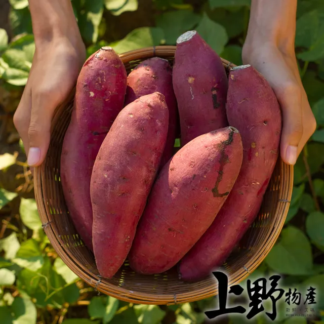 【上野物產】5包 栗香地瓜(1000g±10%/包 素食 低卡) (年菜)