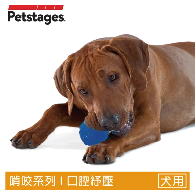 【Petstages】歐卡迷你網球/靛藍(防水 拋接互動 狗玩具)