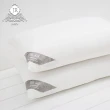 【JAROI】石墨烯+氧化鋅抗菌水洗枕(買1送1)