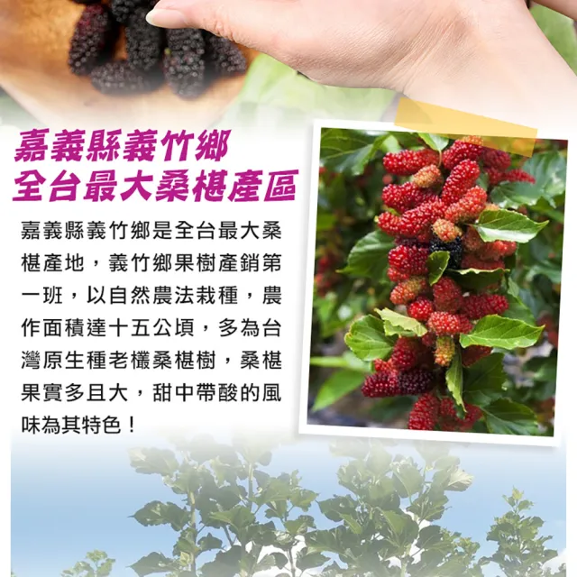 【享吃鮮果】嘉義義竹黑鑽鮮凍桑椹150gx12盒(天然花青素/黑寶石)