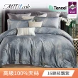 【MIT iLook】高級TENCEL 100%天絲床包枕套組-單人(多款可選)