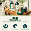 【THE BODY SHOP 美體小舖】茶樹淨化洗髮精(250ml/控油)