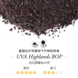 【TWG Tea】手工純棉茶包 烏瓦高地 15包/盒(Uva Highland-Ceylon BOP;黑茶)