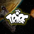 【TRIBE】義大利 TRIBE STARWARS 星際大戰 8GB 隨身碟(Wicket)