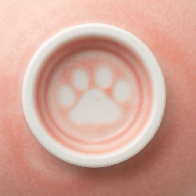 【NITORI 宜得利家居】孩童飯碗 CAT PK 貓咪(CAT 貓咪)