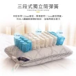 【LooCa】買1送1 石墨烯抗菌天絲三段式獨立筒枕頭
