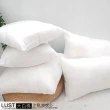 【Lust】抱枕心 現貨  多種尺寸/沙發靠墊/台灣製造