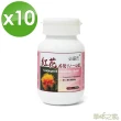 【草本之家】紅花籽油 CLA60粒X10瓶(紅花共軛亞麻油酸)