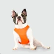 【CANADA POOCH】寵物背心/ 搶眼安全背心-16(High Visibility Safety Vest-16)